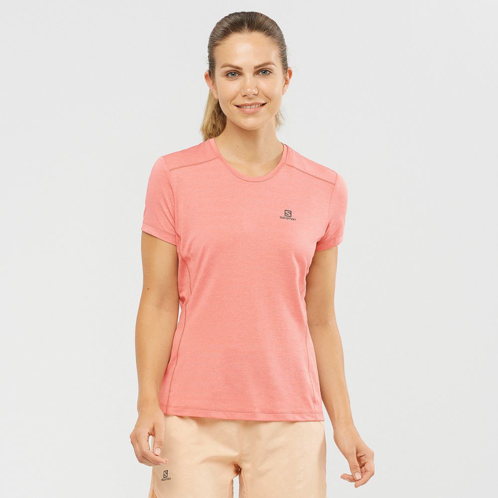 Salomon Singapore Womens T-shirts - XA W Coral | 03197-HGPI